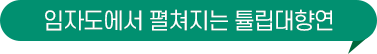 임자도에서 펼쳐지는 튤립 대향연