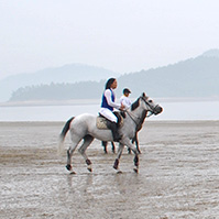 승마체험 이미지